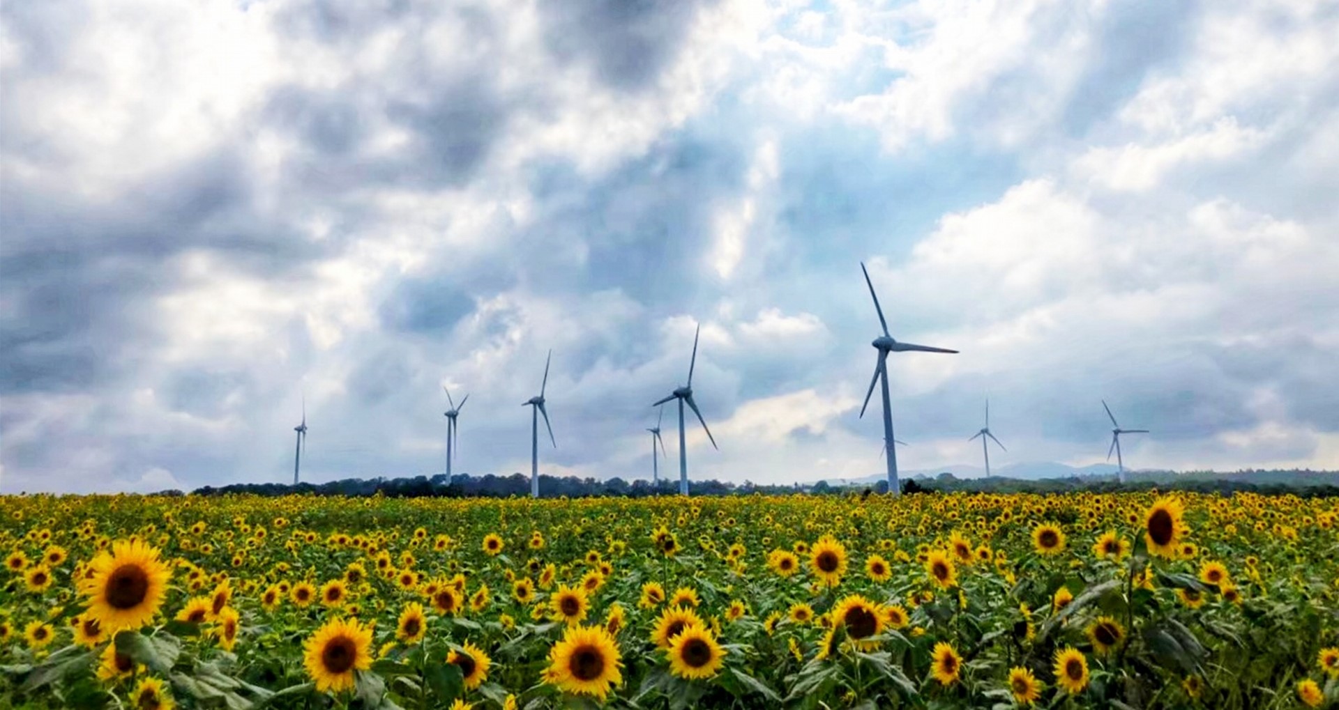 ホームページをリニューアルいたしました。サムネイル